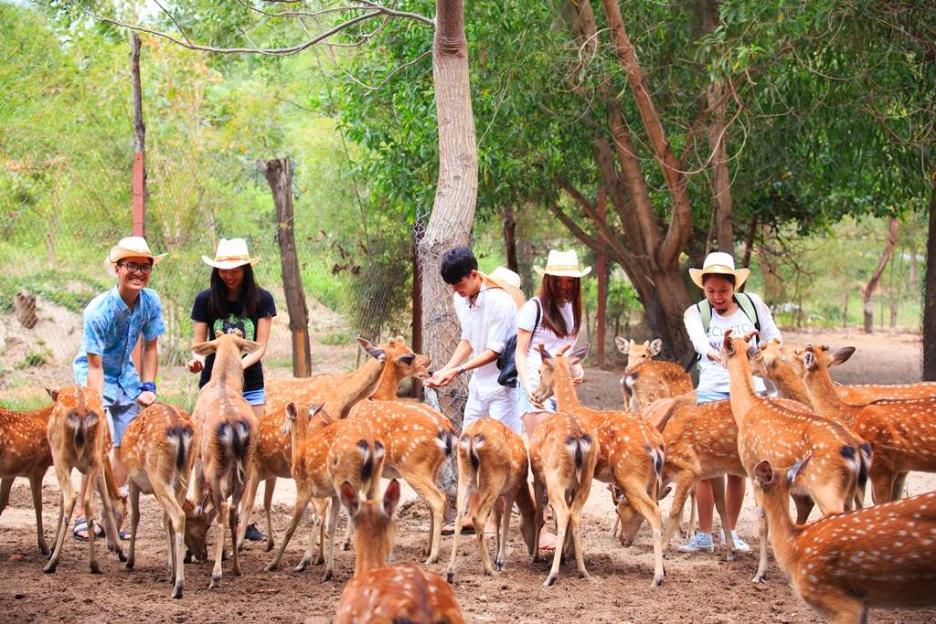 Lịch trình khám phá Đảo Khỉ - Suối Hoa Lan trong 1 ngày duy nhất 9