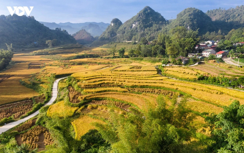 Thác Cò Là Cao Bằng, dải lụa tuyệt đẹp giữa lòng Bản Ruộc 7