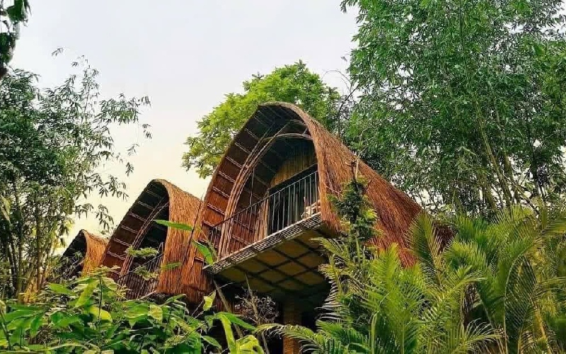 Kinh nghiệm chinh phục Thác Mây Thanh Hóa giữa rừng già 12
