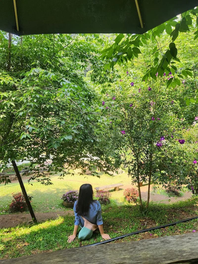 Chiêm ngưỡng Thác Pa Sỹ với cảnh sắc mê hoặc lòng người 6