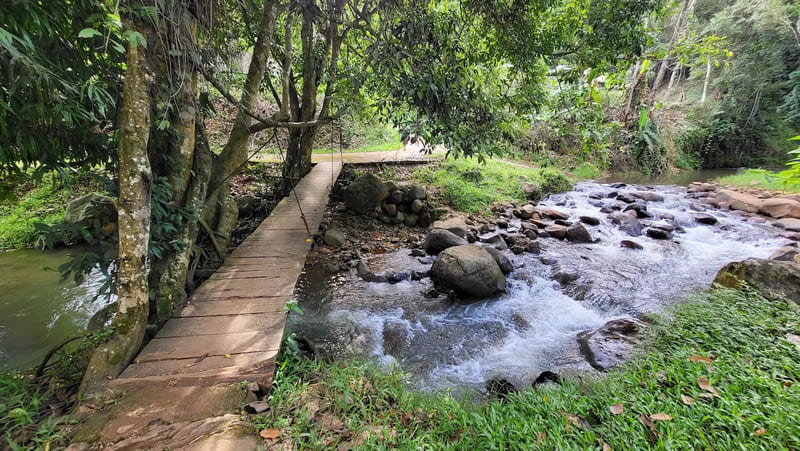 Chiêm ngưỡng Thác Pa Sỹ với cảnh sắc mê hoặc lòng người 7