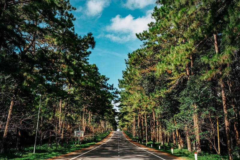 Chiêm ngưỡng Thác Pa Sỹ với cảnh sắc mê hoặc lòng người 11