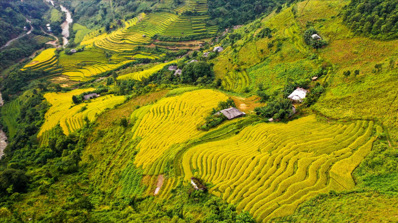 Hành trình khám phá Bảo Lạc Cao Bằng đẹp tựa tranh vẽ 4