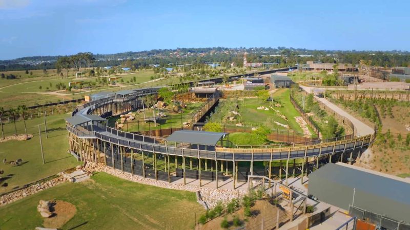 Sydney Zoo, ngôi nhà xanh yên bình của hơn 4000 loài động vật 2