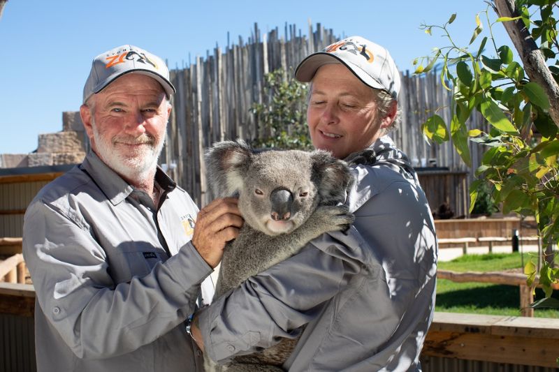 Sydney Zoo, ngôi nhà xanh yên bình của hơn 4000 loài động vật 4