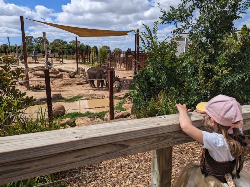 Sydney Zoo, ngôi nhà xanh yên bình của hơn 4000 loài động vật 6