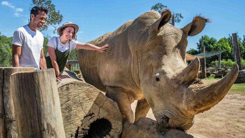 Sydney Zoo, ngôi nhà xanh yên bình của hơn 4000 loài động vật 5