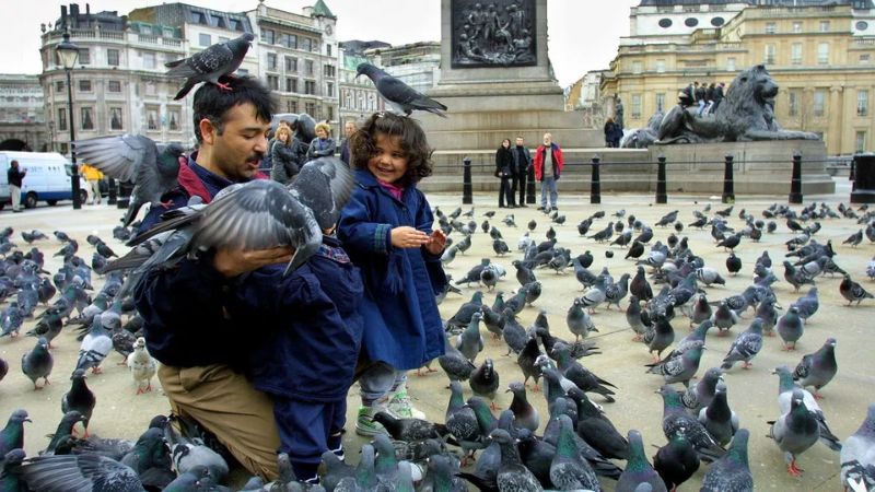 Trafalgar Square, dấu ấn kiến trúc nơi trái tim London 7