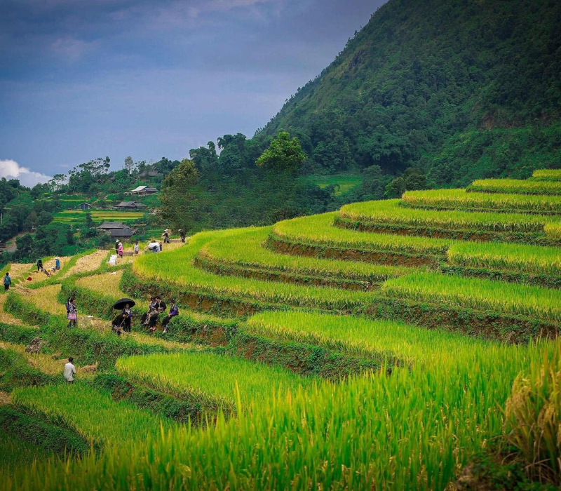Than Uyên (Lai Châu): Hành trình về miền 'Đất gió' và những trải nghiệm khó quên 7