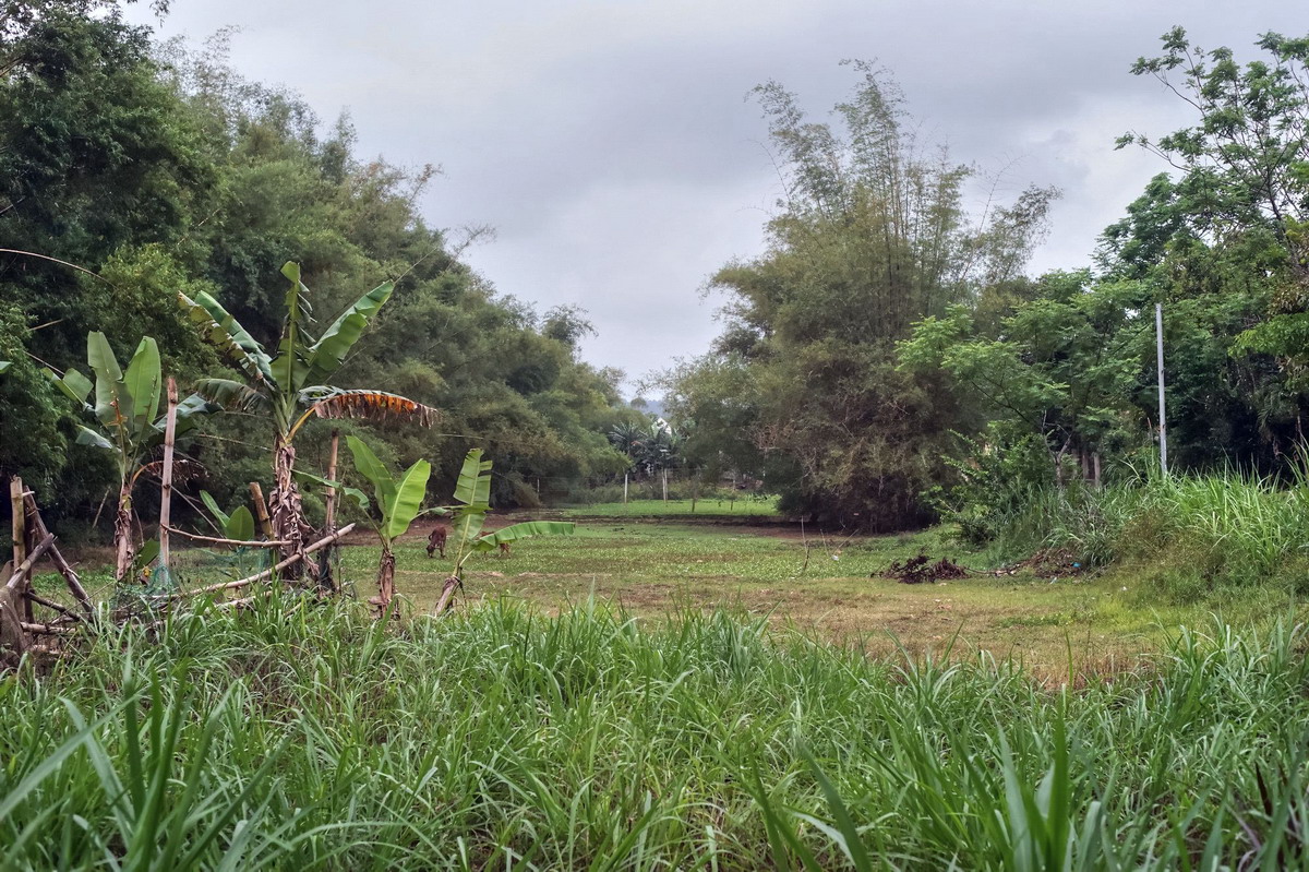 Khám phá Thành Cổ Châu Sa, di tích thành Champa duy nhất còn sót lại 11