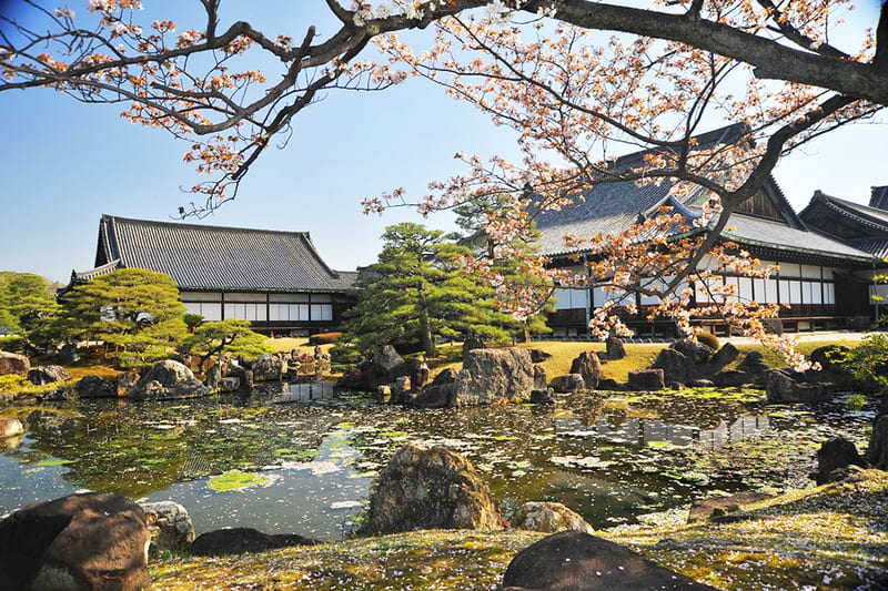 Về Thành Nijo khám phá biểu tượng quyền lực tại Kyoto 11