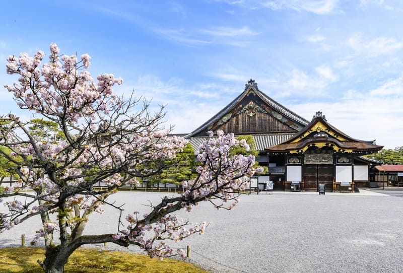 Về Thành Nijo khám phá biểu tượng quyền lực tại Kyoto 5