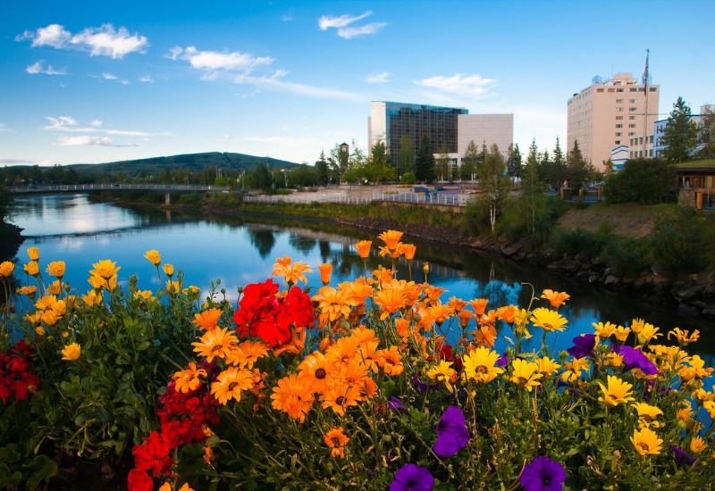 Du lịch Fairbanks: Thành phố Vàng kỳ vĩ giữa lòng Alaska 6