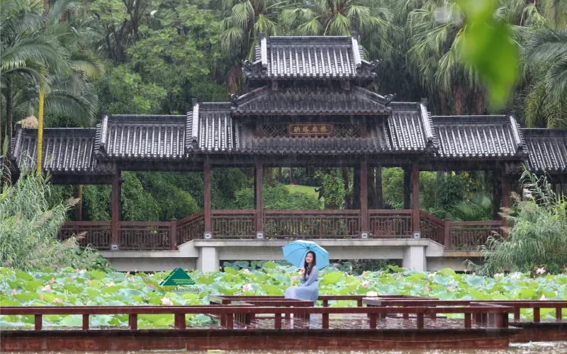 Hành trình khám phá Thanh Tú Sơn: Lá phổi xanh của Nam Ninh 7