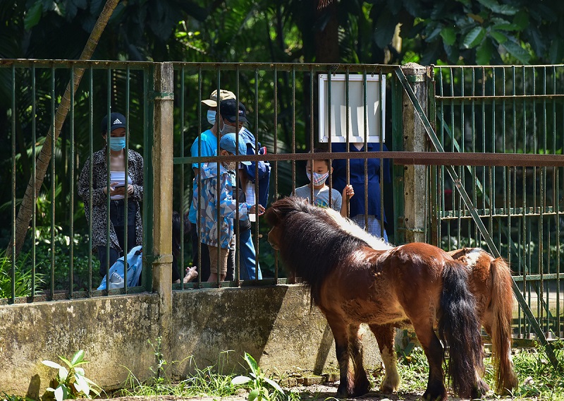 Thăm Thảo Cầm Viên Sài Gòn, sở thú tuổi thơ của bao thế hệ 3