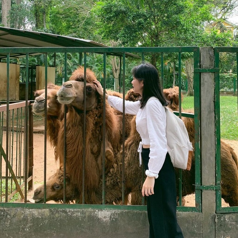 Thăm Thảo Cầm Viên Sài Gòn, sở thú tuổi thơ của bao thế hệ 11