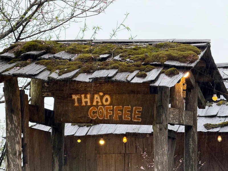 Thào Coffee Tà Xùa, không gian ngắm mây rực rỡ 3