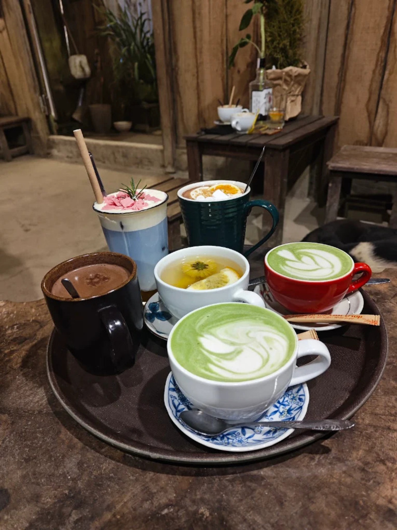 Thào Coffee Tà Xùa, không gian ngắm mây rực rỡ 6