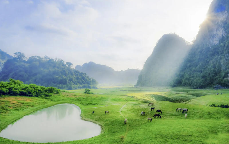 Săn ảnh đẹp chất ngất tại thảo nguyên Đồng Lâm thơ mộng 2
