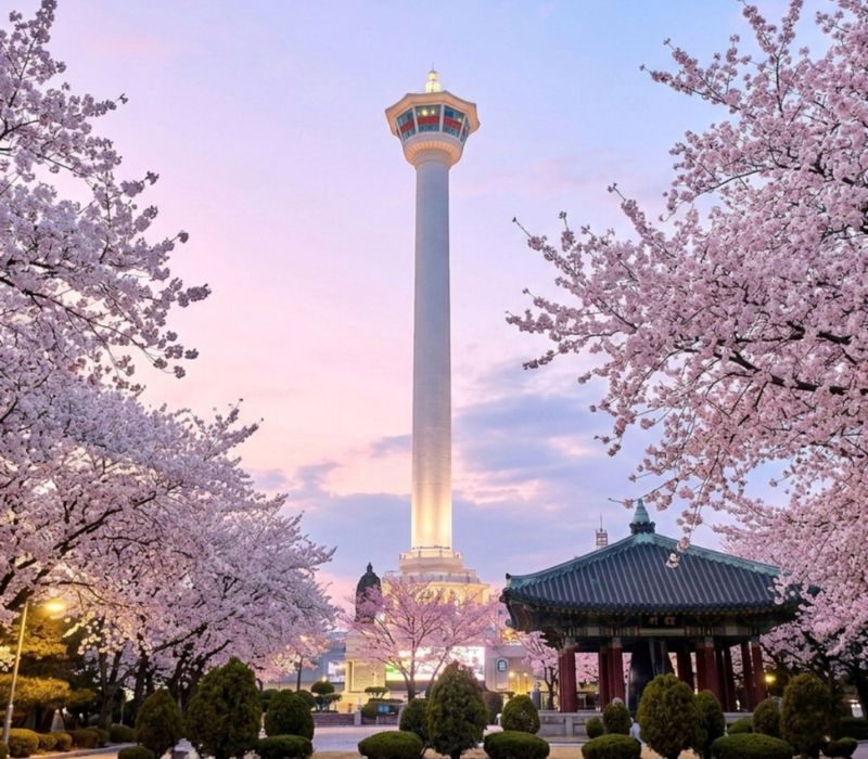 Tháp Busan: Cẩm nang chinh phục ngọn hải đăng giữa lòng thành phố cảng 4
