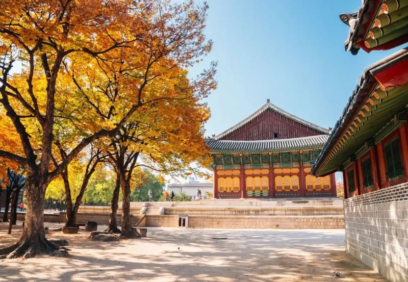 Tháp Namsan, biểu tượng du lịch số 1 tại xứ sở kim chi 13