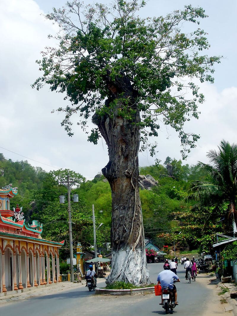 Tên 7 ngọn núi An giang - Thất Sơn Bảy Núi vùng đất trấn giữ linh hồn 16