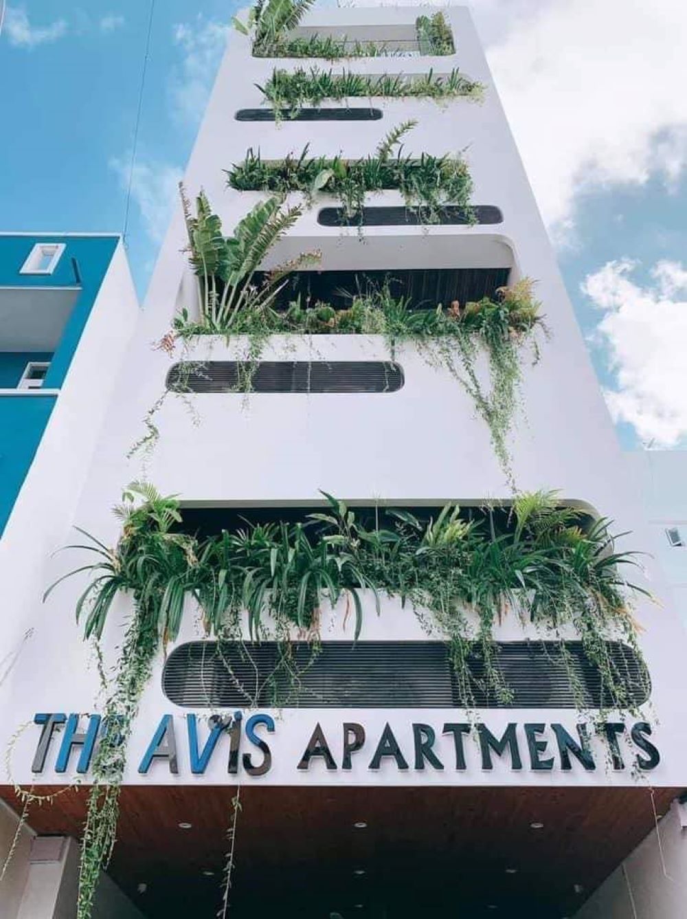 THE AVIS Apartment, GREATHOUSE, căn hộ trong mơ của bao người 2