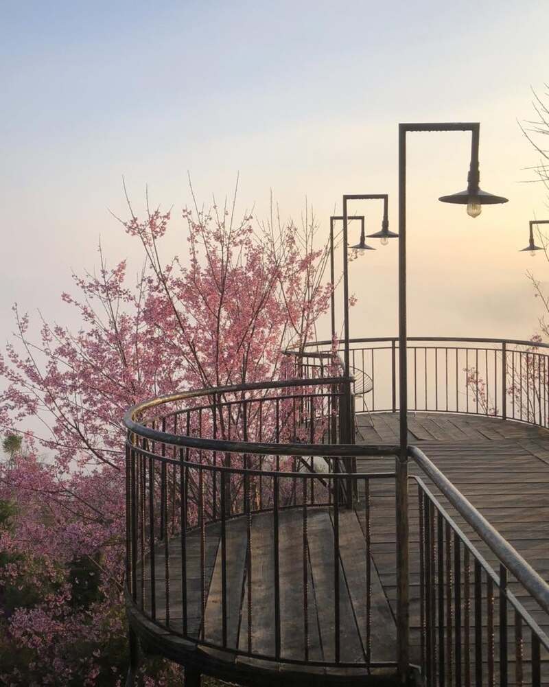 The Diff House’s Đà Lạt, tiệm cà phê săn mây view đỉnh đồi độc đáo 6