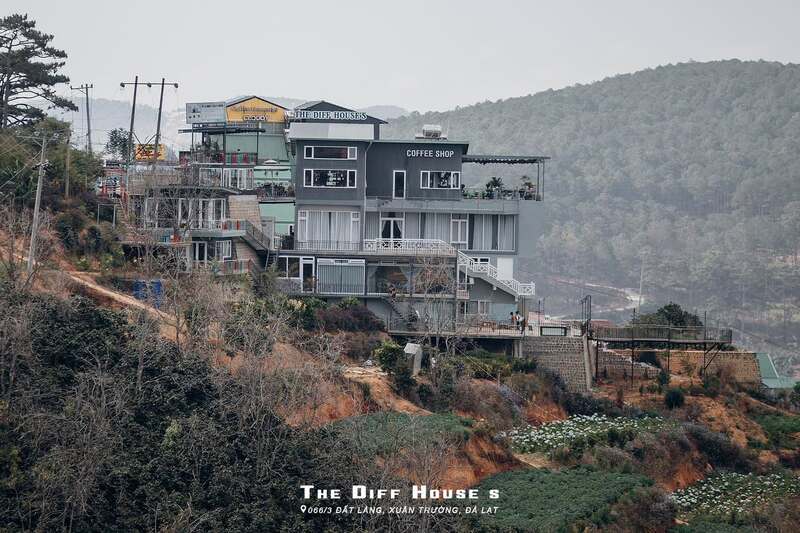 The Diff House’s Đà Lạt, tiệm cà phê săn mây view đỉnh đồi độc đáo 2