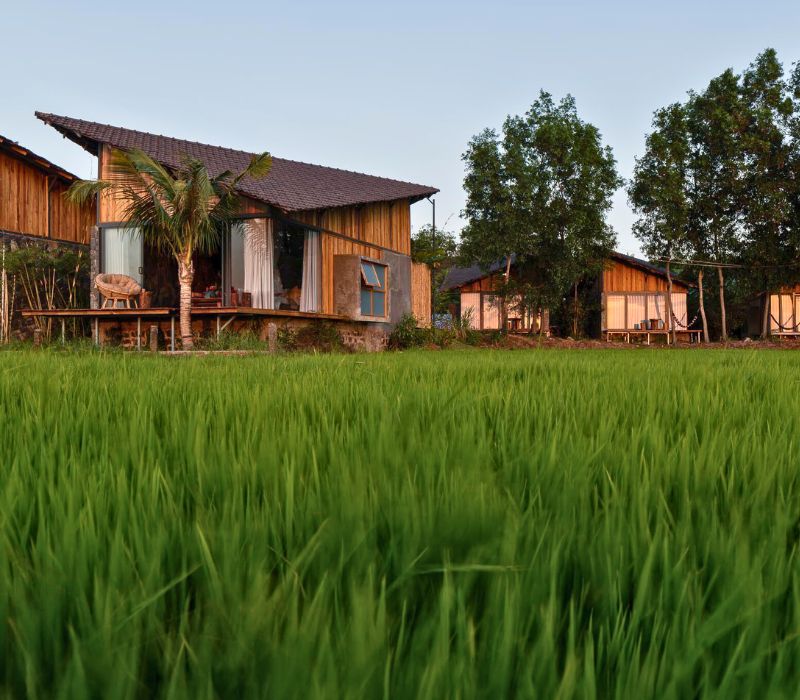 The Ruộng Resort: Không gian nghỉ dưỡng giữa cánh đồng yên bình