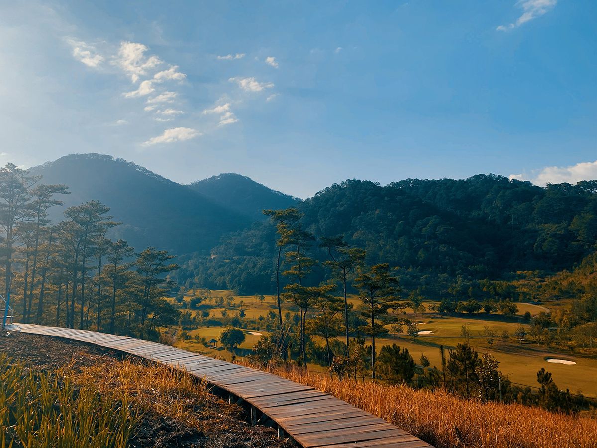 The Wilder Nest - Sự hoàn mỹ giữa núi đồi bao la 6