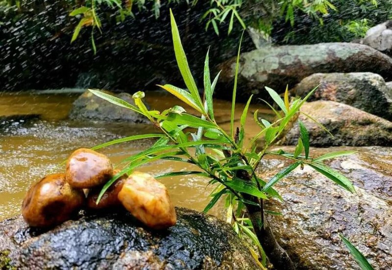 Làng Nhỏ - Hồ Láng Nhớt: Nơi nghỉ dưỡng thư thái lý tưởng 3