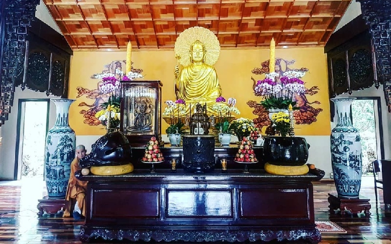 Thiền viện Trúc Lâm Đà Lạt: Chốn bình yên giữa rừng thông xanh 5