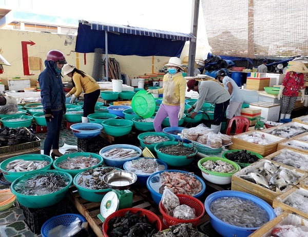 Đến Nha Trang là phải ăn sạch hải sản Nha Trang ngon nức tiếng 13