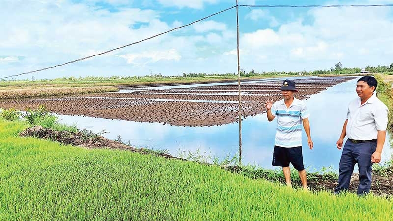 Thới Bình Cà Mau: Vùng đất sông nước đẹp mê hoặc du khách 3