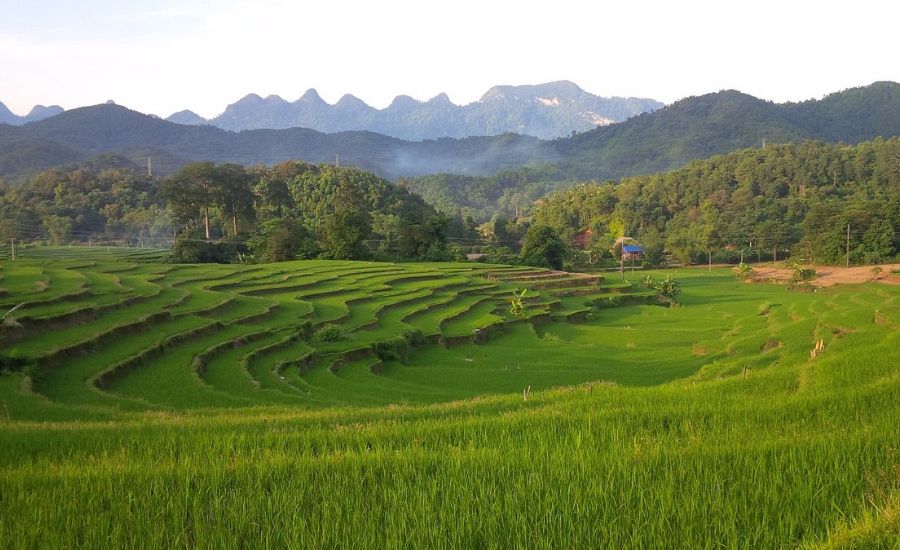 Thon Tha Tay Stilt House Hà Giang, điểm nghỉ dưỡng mang vẻ đẹp nguyên sơ 5