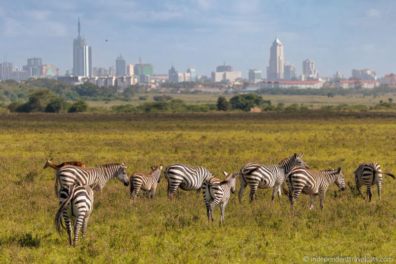 Đến thủ đô Nairobi và đắm chìm vào thiên nhiên hoang dã 5