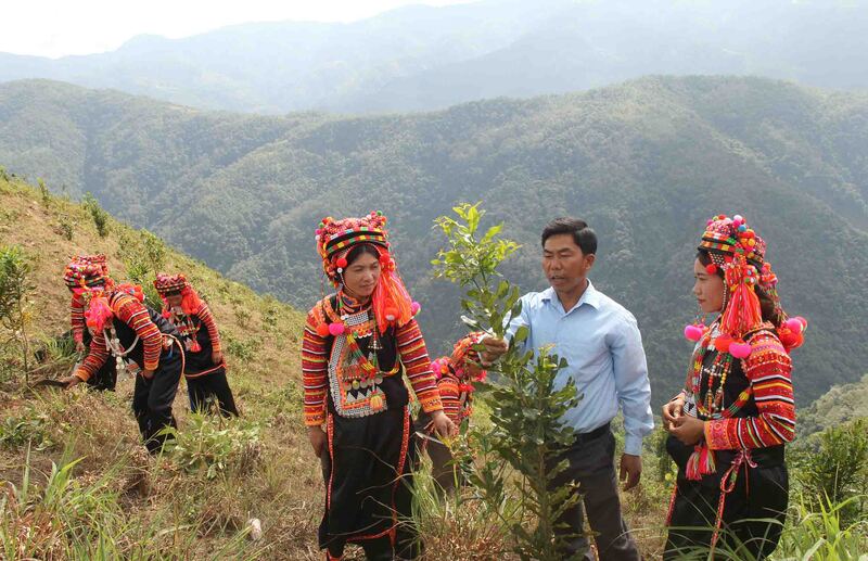 Về với Thu Lũm Lai Châu, chinh phục tọa độ săn mây miền biên giới 4