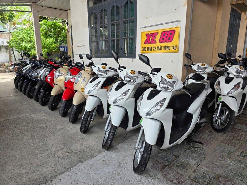 Thuê xe máy Vũng Tàu: Top 7 địa chỉ uy tín để bạn an tâm lựa chọn 2
