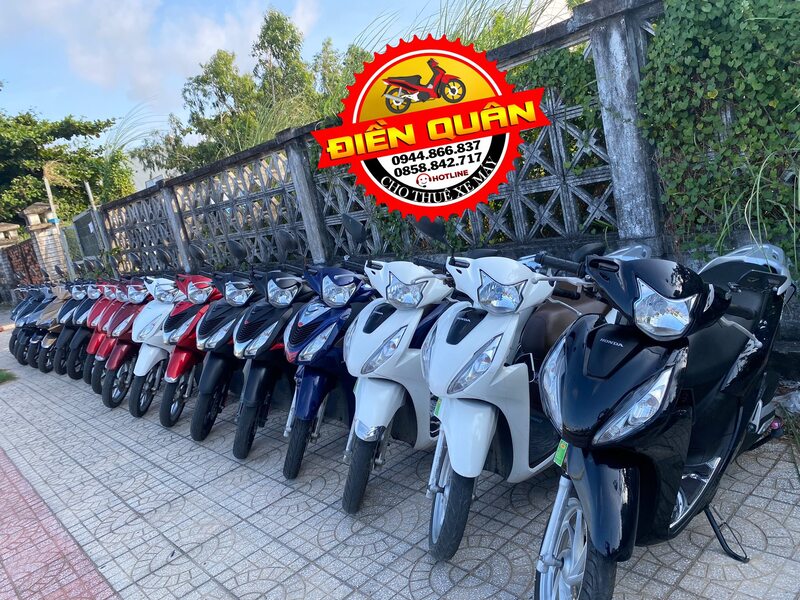 Thuê xe Phú Yên: Top 7 địa chỉ uy tín để vi vu Xứ Nẫu 6