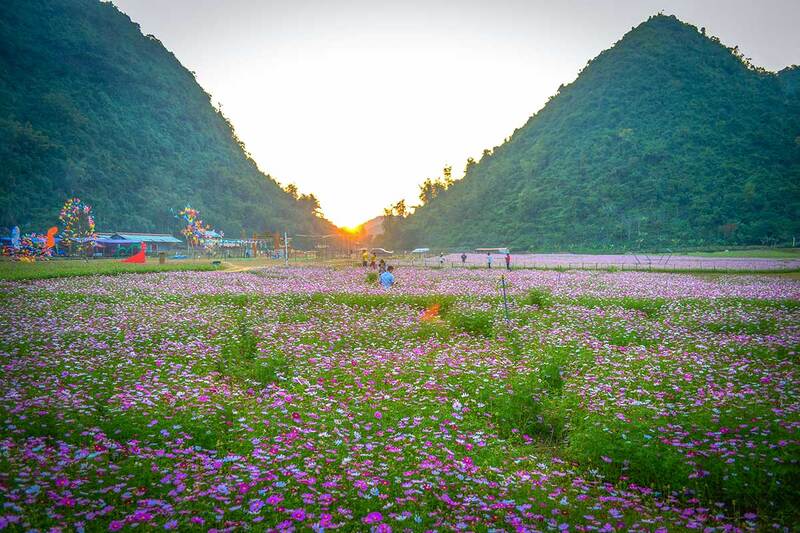 Thung lũng hoa Bắc Sơn rực sắc giữa lòng xứ Lạng 5