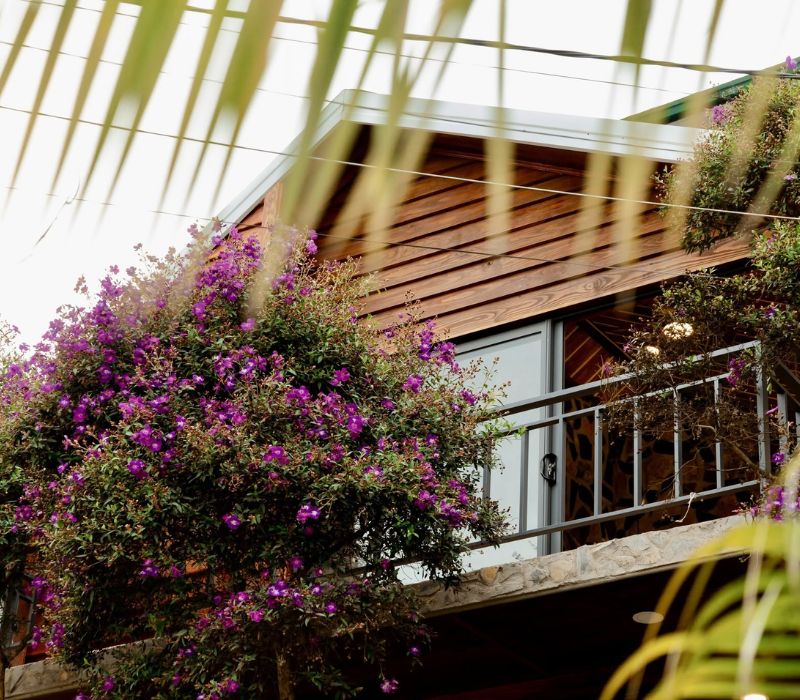 Thung Lũng Mây Homestay: Nơi săn mây lười tại phòng cực thú vị 2