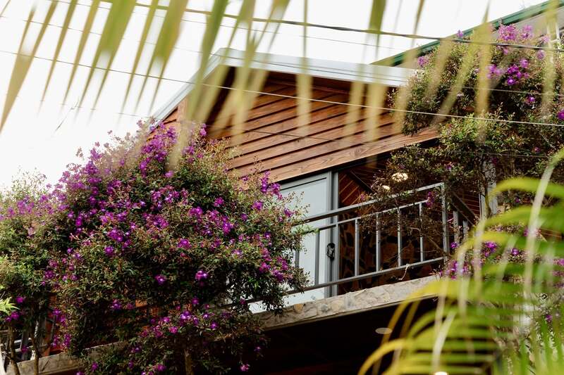 22 địa điểm săn mây Đà Lạt có view đẹp và thơ nhất 2026 19