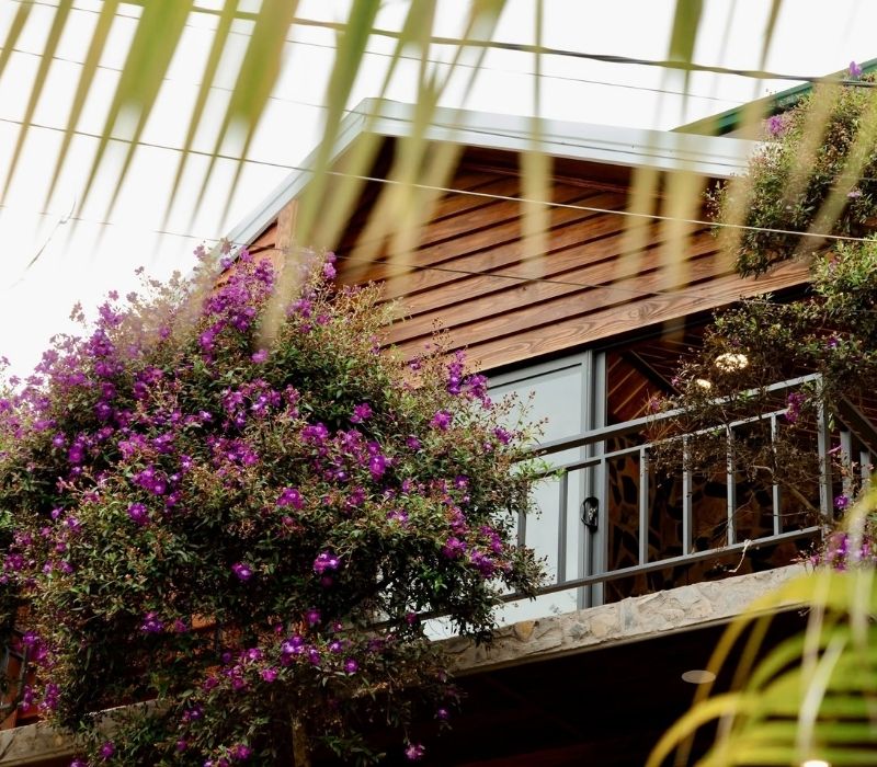 Thung Lũng Mây Homestay: Nơi săn mây lười tại phòng cực thú vị