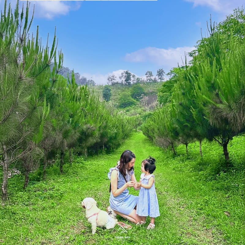 Đến Thung Mây Resort Ba Vì tận hưởng trốn phố lên rừng 11