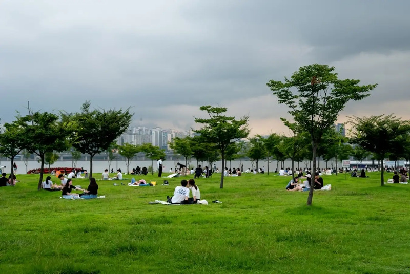 Thưởng ngoạn công viên Yeouido lãng mạn giữa lòng Seoul 6