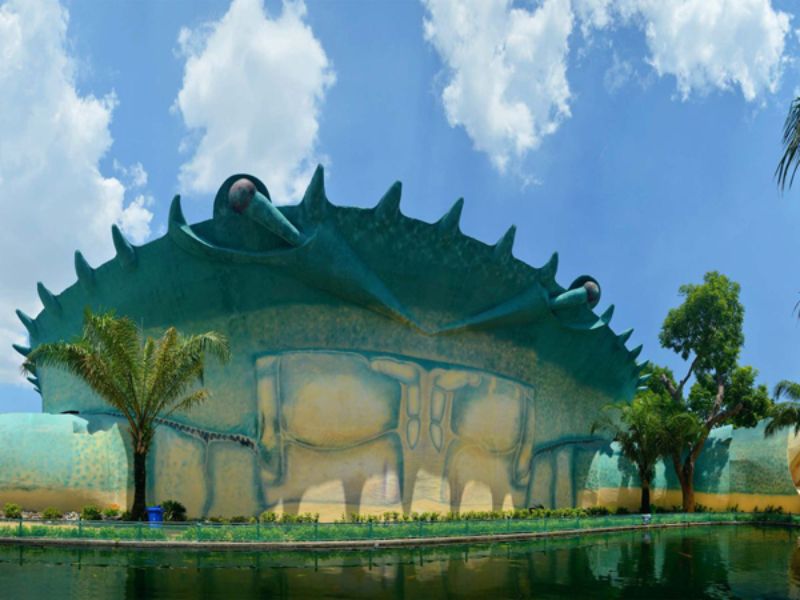 Thủy Cung Đầm Sen: Khám phá 'đại dương thu nhỏ' giữa lòng Sài Gòn 2