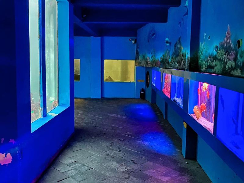 Thủy Cung Đầm Sen: Khám phá 'đại dương thu nhỏ' giữa lòng Sài Gòn 5