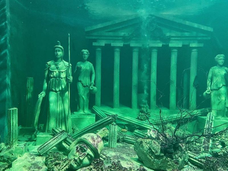 Thủy Cung Đầm Sen: Khám phá 'đại dương thu nhỏ' giữa lòng Sài Gòn 7