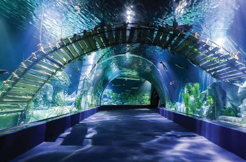Thế giới đại dương tại Thủy cung Lotte với vẻ đẹp huyền ảo 2